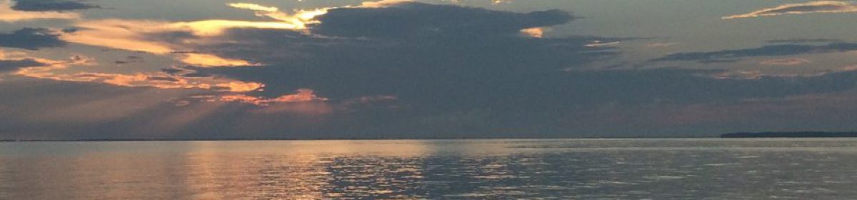 Finding a new "normal"